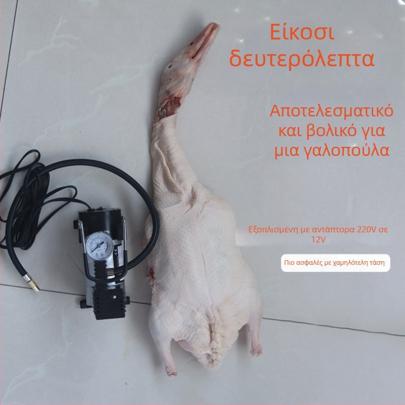 Πολυχρηστική Αντλία Φουσκώματος για Ψητά Πουλερικά και Κρέας (240V, 220W, USB, Ψηφιακή Οθόνη, >2 κύλινδροι)