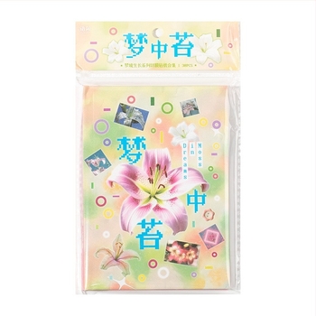 Βιβλίο αυτοκόλλητων – Στυλ Dream Core, Μοντέλο Dream Realm Growth, Χαρτί με επίστρωση, Εκτύπωση, 30 Φύλλα