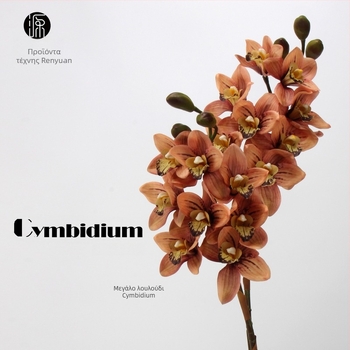 Διάταξη από μεταξωτή ορχιδέα Cymbidium - 8 κεφάλια και 3 μπουμπούκια, αίσθηση ενυδάτωσης, συσκευασία από χαρτόνι