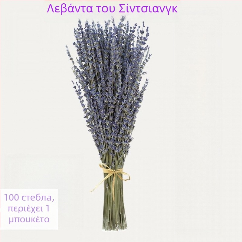 Μπουκέτο λεβάντας από αποξηραμένα άνθη, φυσικά χωρίς βαφή, αποξηραμένα κλαδάκια, κατάλληλο για σακουλάκια αρωματοθεραπείας, συσκευασία σε OPP σακούλα
