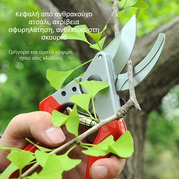 Κλαδευτικά ψαλίδια φρούτων – ανοξείδωτη λεπίδα, λαβή από σπόγγο, ανθεκτικά κλαδέματα κήπου