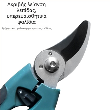 Κλαδευτικά ψαλίδια φρούτων – ανοξείδωτη λεπίδα, λαβή από σπόγγο, ανθεκτικά κλαδέματα κήπου