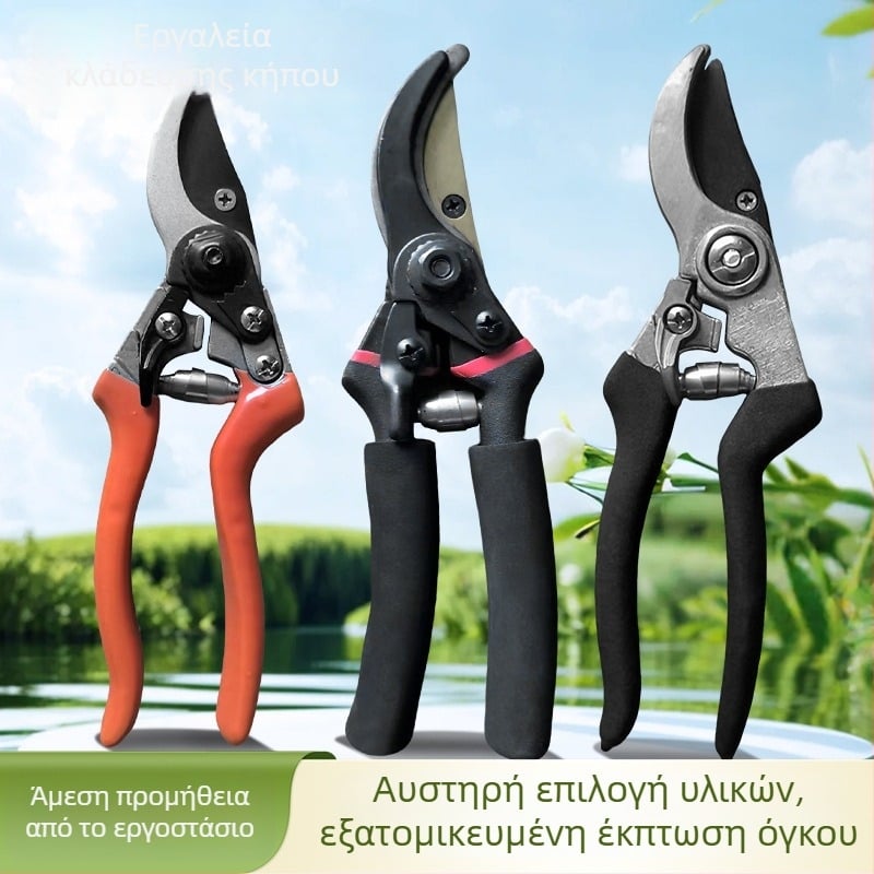 Κλαδευτικά ψαλίδια φρούτων – ανοξείδωτη λεπίδα, λαβή από σπόγγο, ανθεκτικά κλαδέματα κήπου
