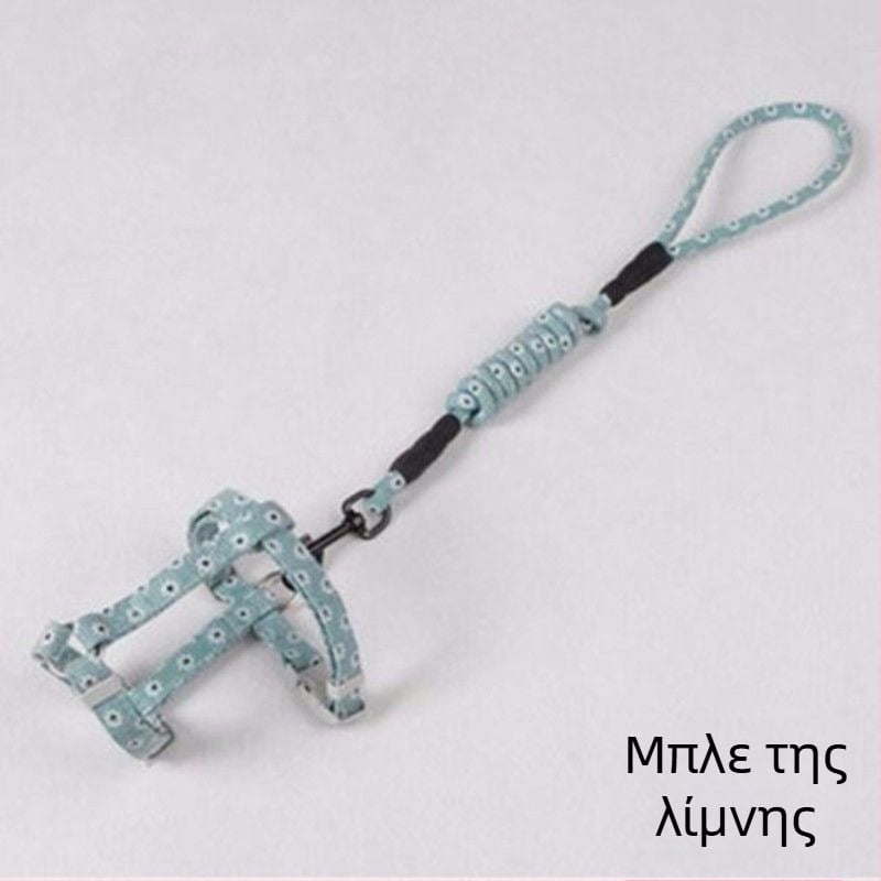Ρυθμιζόμενο λουρί γάτας με ζώνη – αποφυγή διαφυγής, κατάλληλο για γάτες και γατάκια