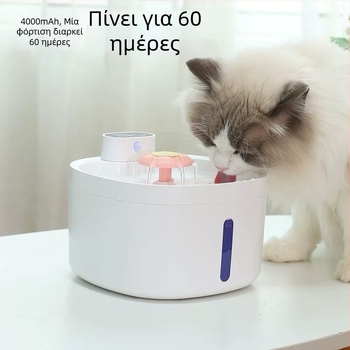 DC07 Δοχείο νερού κατοικίδιων για γάτες και σκύλους – Αφαιρούμενος σχεδιασμός, βάρος 1 κιλό