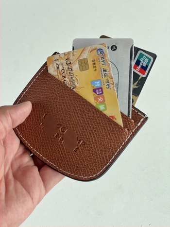 Longjia Θήκη Καρτών 2025 Άνοιξη, PU συνθετικό δέρμα, ζωικό μοτίβο, unisex, επένδυση Oxford, πολλαπλές θήκες για κάρτες