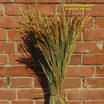 Διάκοσμητικό με αυτιά ρυζιού και αποξηραμένα άνθη για γάμους, φωτογραφικά σκηνικά και διακόσμηση σπιτιού