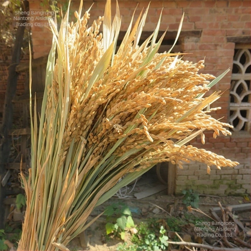 Διάκοσμητικό με αυτιά ρυζιού και αποξηραμένα άνθη για γάμους, φωτογραφικά σκηνικά και διακόσμηση σπιτιού