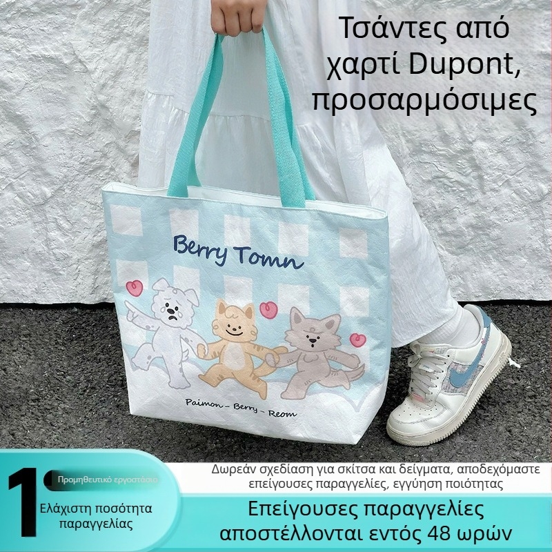 Αδιάβροχη τσάντα από DuPont χαρτί με προσαρμοσμένο λογότυπο, UV εκτύπωση, τσάντα αγορών