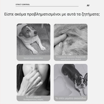 Μίας χρήσης πάνα ούρων κατοικίδιων Sakura – Αποσμητική, Απορροφητική, Αδιάβροχο κάτω φιλμ PE (μη υφασμάτινο ύφασμα; ινώδης πολτός; ρητίνη απορρόφησης νερού; κάτω φιλμ PE αδιάβροχο; απορροφητικό χαρτί)