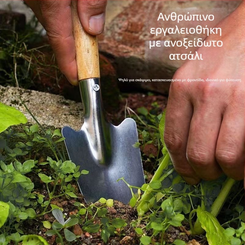Φτυάρι κηπουρικής από ανοξείδωτο ατσάλι, Bo Huang, για κηπουρική, φύτευση λουλουδιών και ζιζάνια