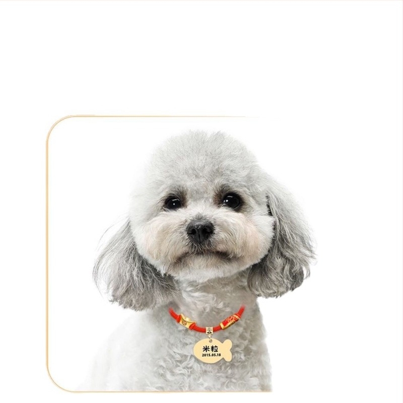 Κολάρο κατοικίδιου με αντι-απώλεια, με χαραγμένο koi, ρητίνη, για γάτες, στυλ πριγκίπισσας