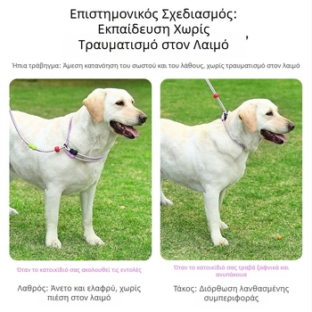 Νάιλον επεκτειόμενος λουρί σκύλου με διπλό σκοινί, πολυλειτουργικός, ανθεκτικός στην τριβή, για μεγάλους σκύλους, μοντέλο Zlco-046