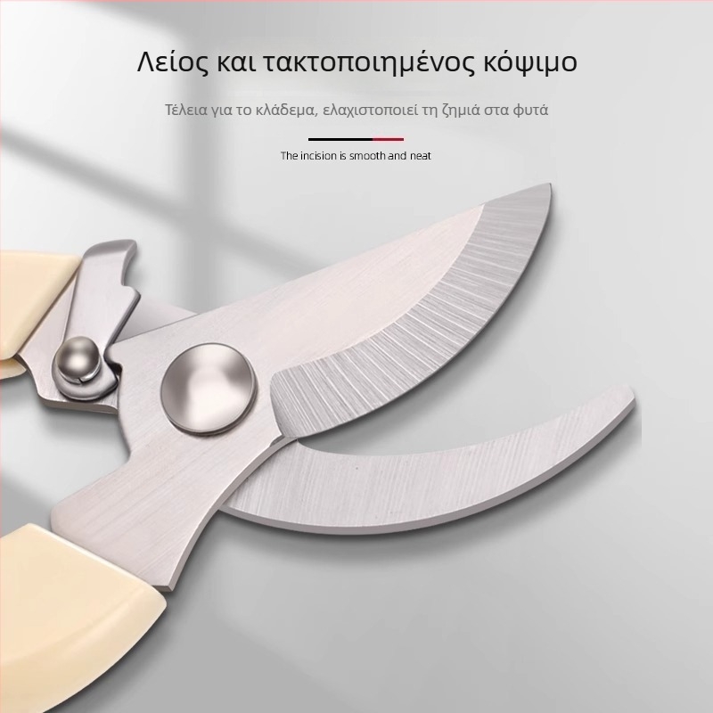 Κλαδευτικά ψαλίδια για κλάδεμα κλαδιών, δέντρων φρούτων και αμπέλων (Μάρκα: Άλλη)