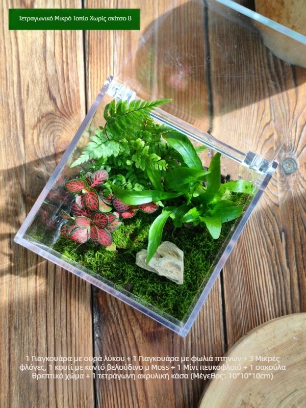 Σετ μικροτοπίου με βρύα – τετράγωνο κουτί, επιτραπέζιο φυτό, υλικό μεταξωτών λουλουδιών, ποικιλία tortoise shell, για γάμους