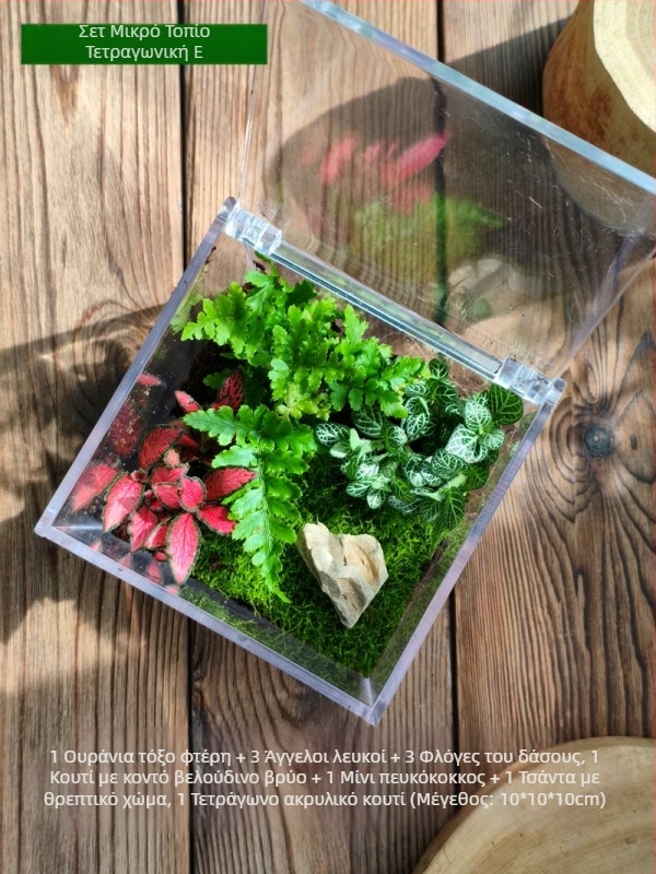 Σετ μικροτοπίου με βρύα – τετράγωνο κουτί, επιτραπέζιο φυτό, υλικό μεταξωτών λουλουδιών, ποικιλία tortoise shell, για γάμους