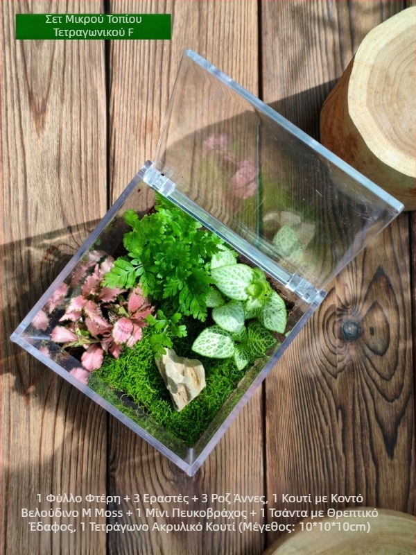 Σετ μικροτοπίου με βρύα – τετράγωνο κουτί, επιτραπέζιο φυτό, υλικό μεταξωτών λουλουδιών, ποικιλία tortoise shell, για γάμους