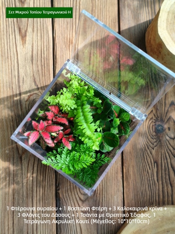 Σετ μικροτοπίου με βρύα – τετράγωνο κουτί, επιτραπέζιο φυτό, υλικό μεταξωτών λουλουδιών, ποικιλία tortoise shell, για γάμους