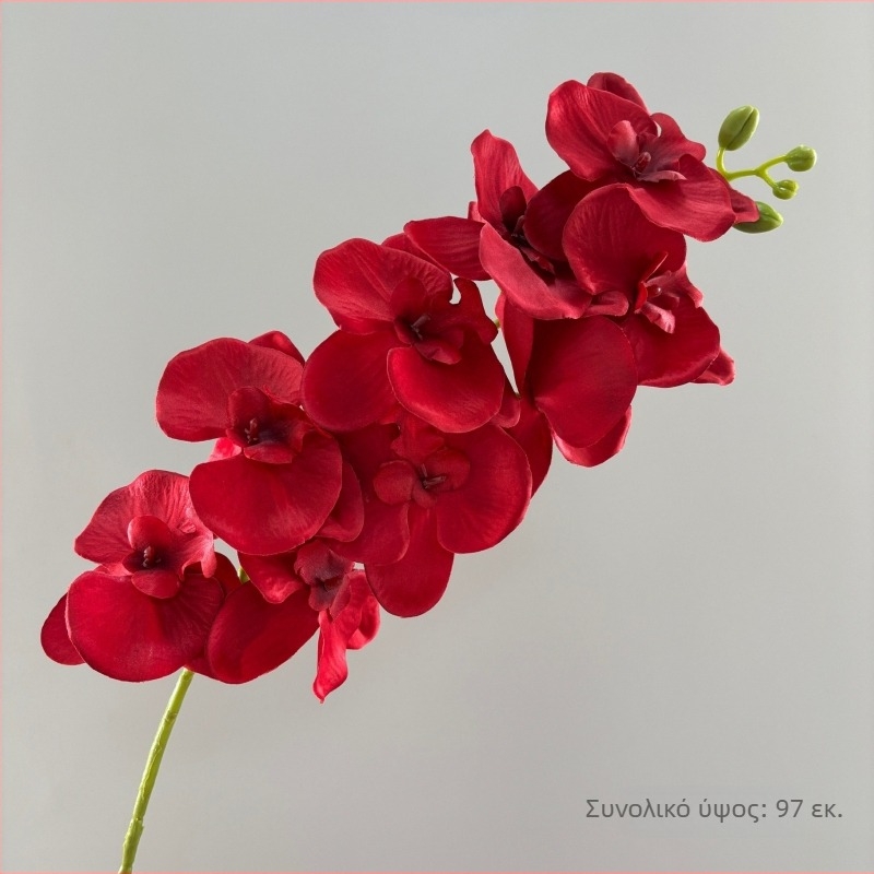 Τεχνητή ορχιδέα Phalaenopsis με 9 κεφάλια για γαμήλια διακόσμηση, μεταξωτά άνθη, κατασκευή με έγχυση, κωδ. 19037921829