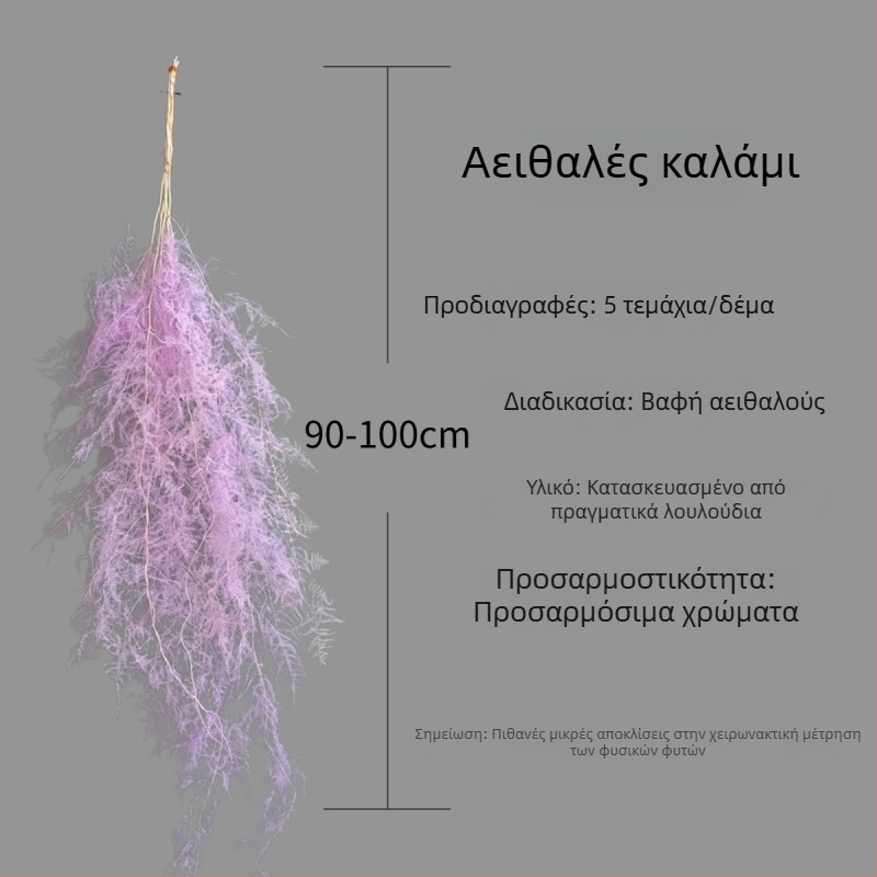 Μπουκέτο Διατηρημένων Λουλουδιών – Υλικό: Διατηρημένα Λουλούδια; Διακόσμηση τοίχου για κρέμασμα; Μάρκα: Kunming Advanced Flower Technology Co., Ltd.; Κωδικός: 18969844106; Κατάλληλο για Γάμους, Γενέθλια, Αποφοίτηση; Χριστούγεννα