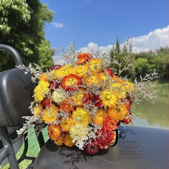 Μπουκέτο αποξηραμένων λουλουδιών με μίξη χρυσάνθεμων και ηλιοτρόπιων (Υλικό: αποξηραμένα και διατηρημένα λουλούδια; Συσκευασία: OPP σακούλα; Μάρκα: Hua Xi Shi; Κωδικός προϊόντος: Small Star Flower)