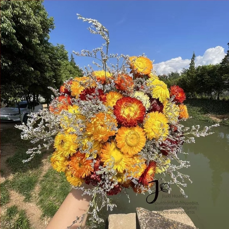 Μπουκέτο αποξηραμένων λουλουδιών με μίξη χρυσάνθεμων και ηλιοτρόπιων (Υλικό: αποξηραμένα και διατηρημένα λουλούδια; Συσκευασία: OPP σακούλα; Μάρκα: Hua Xi Shi; Κωδικός προϊόντος: Small Star Flower)