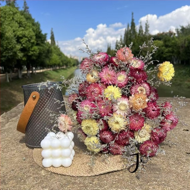 Μπουκέτο αποξηραμένων λουλουδιών με μίξη χρυσάνθεμων και ηλιοτρόπιων (Υλικό: αποξηραμένα και διατηρημένα λουλούδια; Συσκευασία: OPP σακούλα; Μάρκα: Hua Xi Shi; Κωδικός προϊόντος: Small Star Flower)