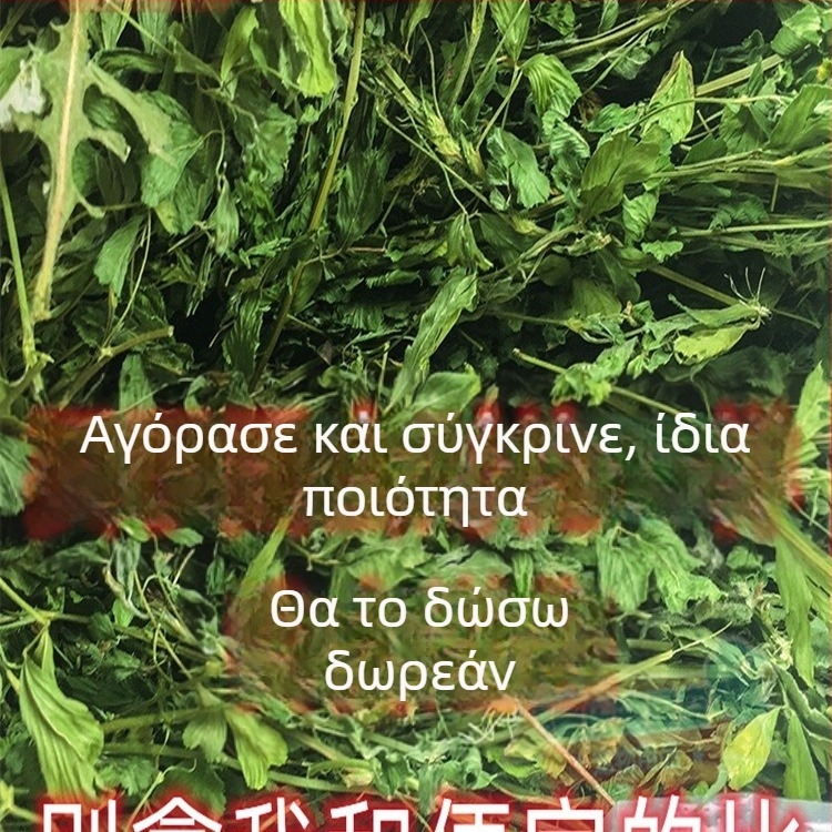 Υγρή τροφή από σανό αλφάλφα για ενήλικα κουνέλια, γουίνι πιγκς και χιντζίλες