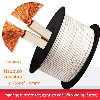 Καλώδιο Ηχείων YYTCG για ήχο/βίντεο – ROHS πιστοποιημένο