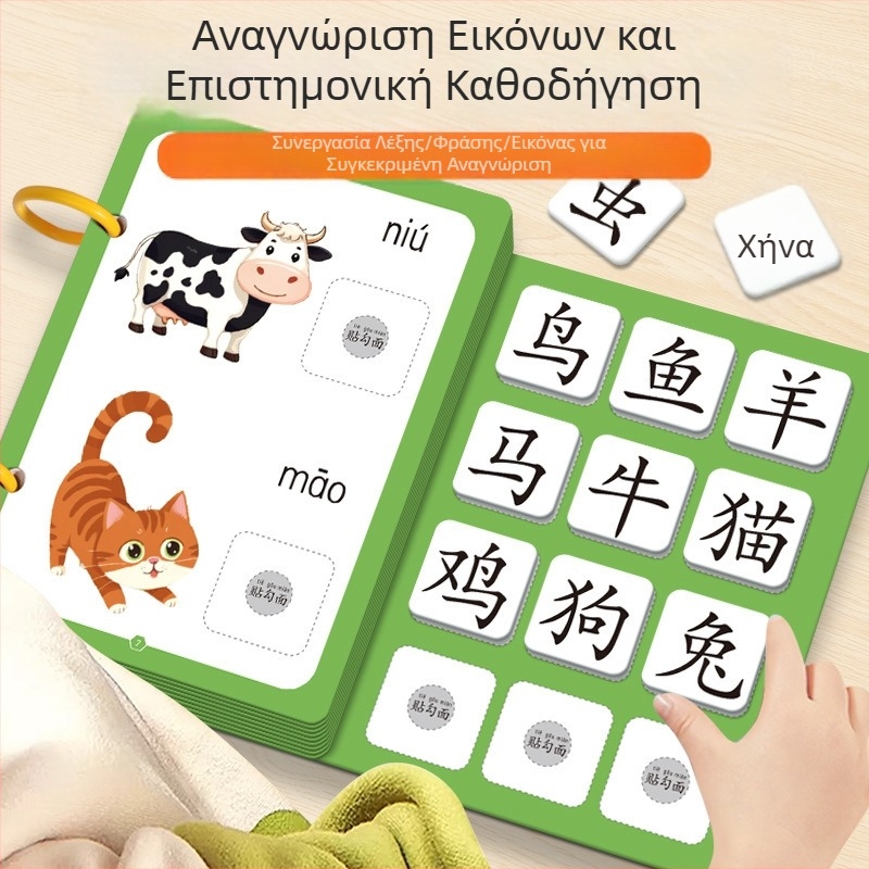 Ήσυχο βιβλίο για πρώιμη γραφή με εικονογραφικές κάρτες και σετ αυτοκόλλητων· ηλικίες 3–6 ετών· υλικό: χαρτί· μάρκα Pasien