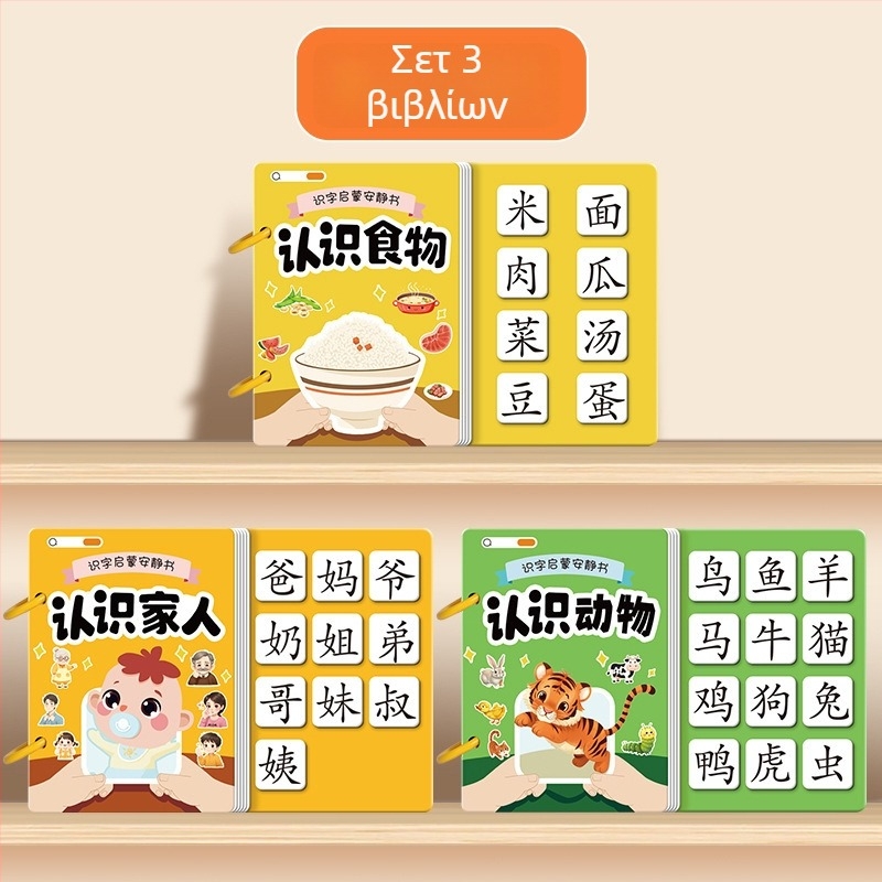 Ήσυχο βιβλίο για πρώιμη γραφή με εικονογραφικές κάρτες και σετ αυτοκόλλητων· ηλικίες 3–6 ετών· υλικό: χαρτί· μάρκα Pasien