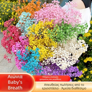 Μπουκέτο από αιώνια λουλούδια Gypsophila, 120 g – κατάλληλο για δώρο σε γάμους, γενέθλια και αποφοιτήσεις