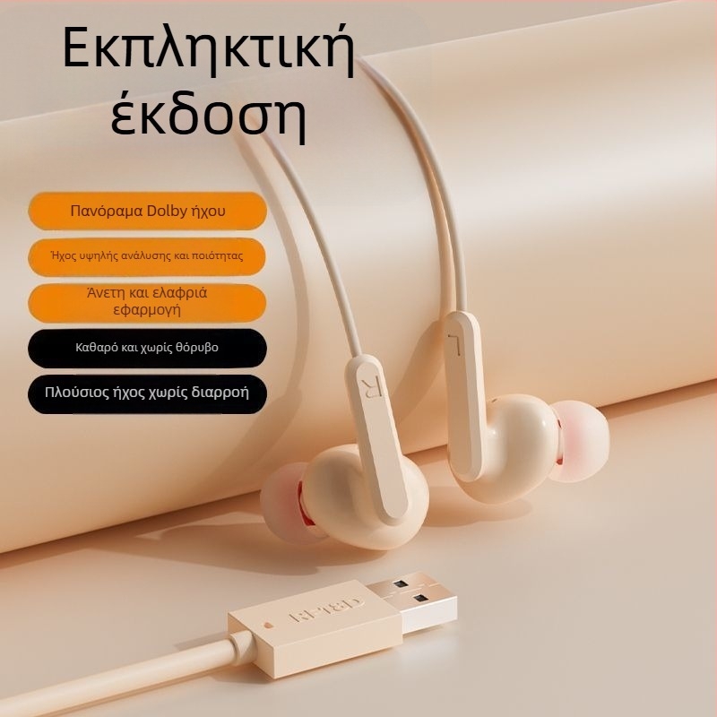 Ενσύρτα ακουστικά με γάντζο για το αυτί, 2 m USB-C καλώδιο, μείωση θορύβου, για καραόκε, αθλήματα, παιχνίδια και κλήσεις