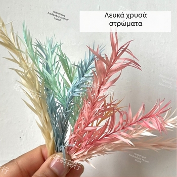 Σετ DIY με διατηρημένα λουλούδια | Πολυστρωματικός τύπος | Κωδικός προϊόντος Ali-727499540242