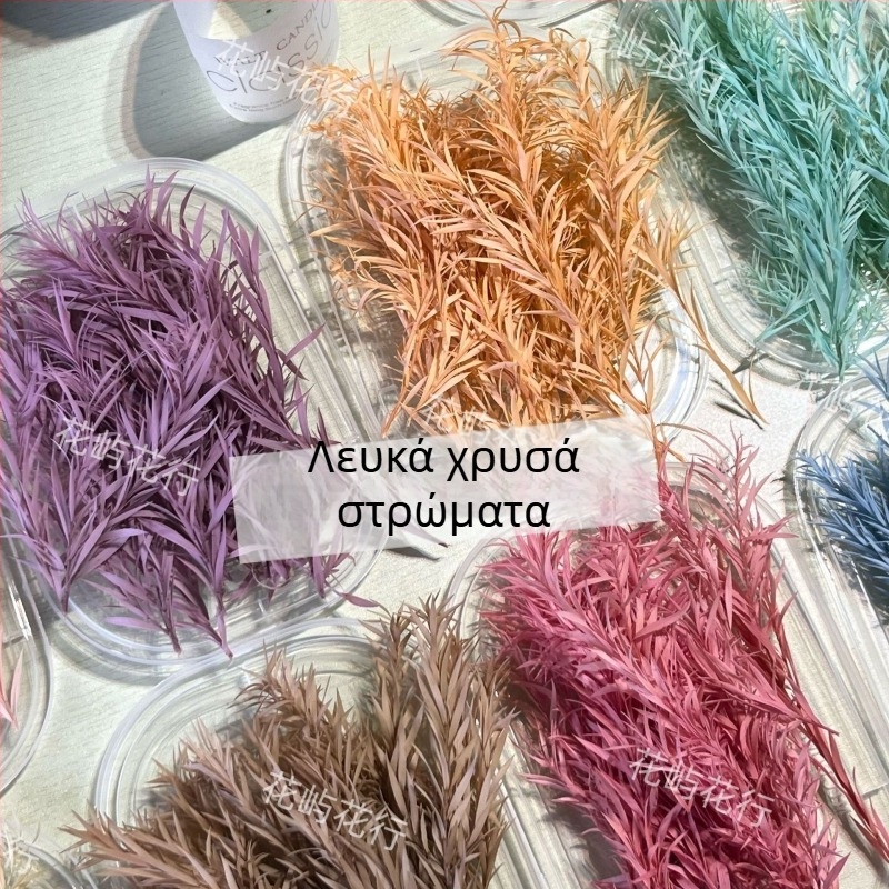 Σετ DIY με διατηρημένα λουλούδια | Πολυστρωματικός τύπος | Κωδικός προϊόντος Ali-727499540242