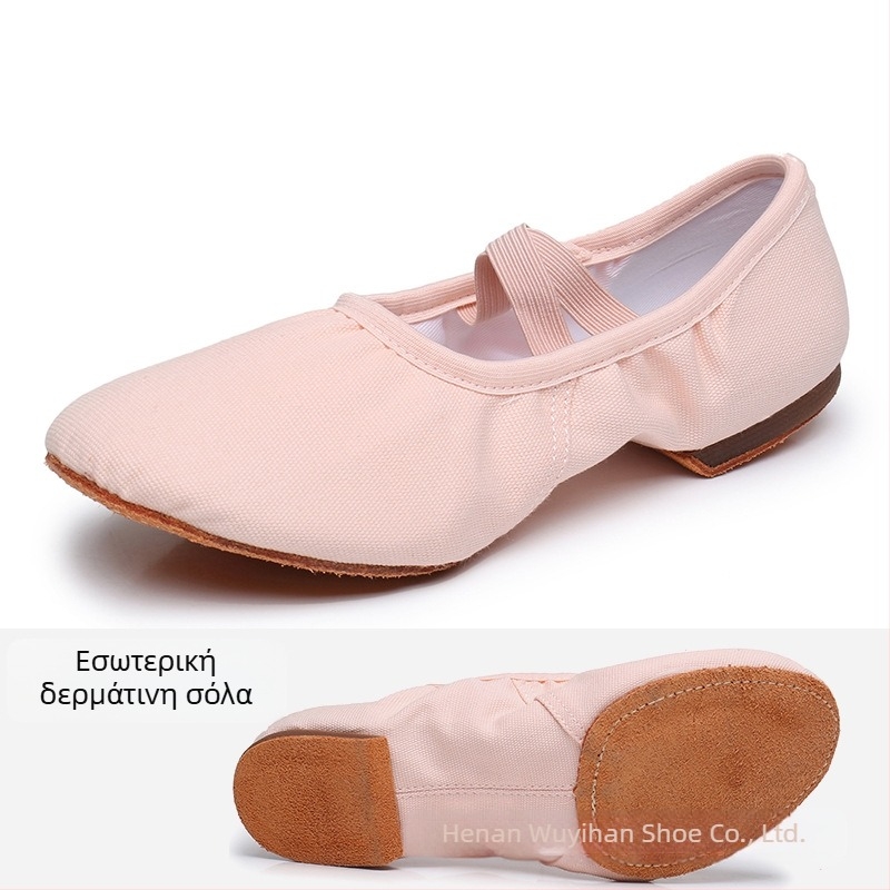 Χορευτικά παπούτια — Άνω μέρος από καμβά, Σόλα από καουτσούκ, Διαπνέοντα, Ελαφριά, Ανθεκτικά στη φθορά; Για μπαλέτο, μοντέρνο χορό, λατινικούς χορούς