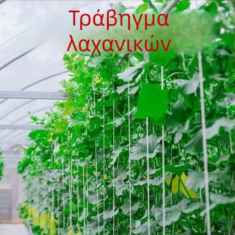 Υφασμάτινες ταινίες πρόσδεσης με αγκράφες – ανθεκτικές στις καιρικές συνθήκες για οικιακή χρήση, κατάλληλες για δέσιμο κλώνων φρούτων και τη συγκράτηση αντικειμένων (Μέγιστο φορτίο 50 kg; Λειτουργική θερμοκρασία 110; Πρότυπο: καθαρό ύφασμα; Μάρκα: Zhi chen