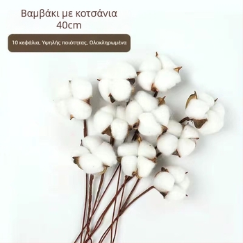 Κλάδοι αποξηραμένων καποκ για διακόσμηση τοίχου, χωρίς βαφή, μοναδική μάρκα, άλλη ποικιλία