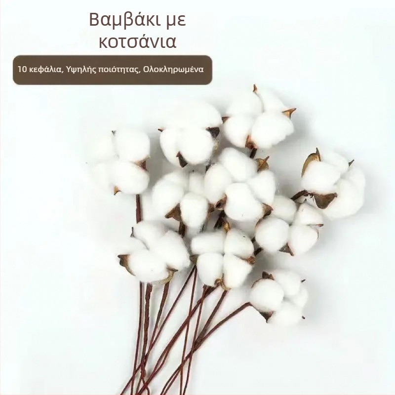 Κλάδοι αποξηραμένων καποκ για διακόσμηση τοίχου, χωρίς βαφή, μοναδική μάρκα, άλλη ποικιλία