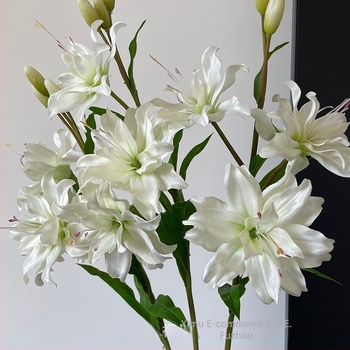 Τεχνητό λουλούδι κρίνος για τραπέζι, διπλό άνθος, ευρωπαϊκό στυλ, ελαφριά πολυτέλεια; Υλικά: Πλαστικό, μαλακό καουτσούκ, μεταξωτό λουλούδι