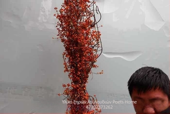 Κλώνια για διακόσμηση καλαθιών λουλουδιών, με υφή αποξηραμένων φλεβών φύλλων, χωρίς βαφή, μη εισαγόμενα