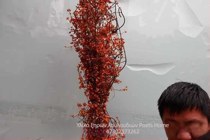 Κλώνια για διακόσμηση καλαθιών λουλουδιών, με υφή αποξηραμένων φλεβών φύλλων, χωρίς βαφή, μη εισαγόμενα