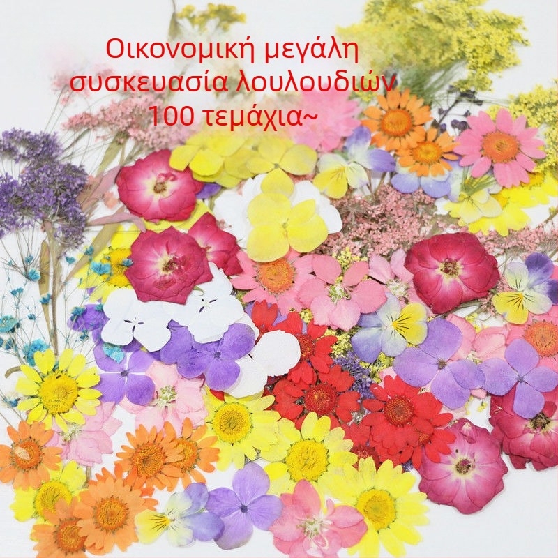 Αποξηραμένα άνθη με φλέβες για χειροτεχνίες – βαμμένα για σακουλάκια, ρητίνη τέχνης και φωτογράφηση