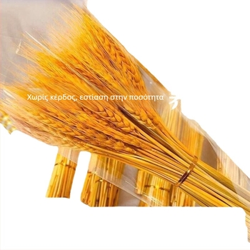 Κλαδιά αποξηραμένων χόρτων με άνθη, βαμμένα, ποικιλία 20213, μάρκα Άλλοι, κατάλληλα για μπουκέτα