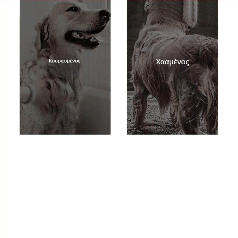 Συσκευή στεγνώματος κατοικίδιων all-in-one με ενσωματωμένη χτένα – γρήγορο στέγνωμα για σκύλους και γάτες, 2000W+, ≤36V, καθολική χρήση