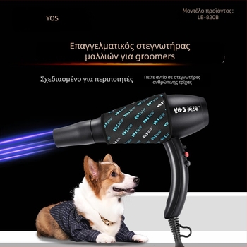 Σύστημα στεγνώματος κατοικίδιων σε ένα για μπάνιο και φυσητήρα για σκύλους και γάτες | Κάτω από 1000W, AC κινητήρας, 220V, σπειροειδή θέρμανση, προστασία από υπερθέρμανση