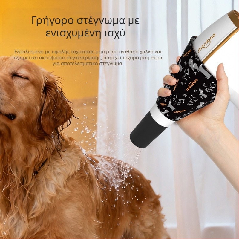 Hd-101 Στεγνωτήρας τρίχας για κατοικίδια (γάτες και σκύλοι), κινητήρας AC, 1200–1599 W, 220 V, Προστασία από υπερθέρμανση