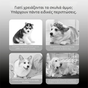 Guozhou mu Άμμος για γάτες και σκύλους – χαμηλή σκόνη, έλεγχος οσμών, συμπαγής μορφή