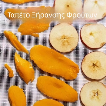 Υπόστρωμα αποξήρανσης από σιλικόνη για φρούτα και κρέας, τετράγωνο, 360 g/m², επίστρωση κατάλληλη για τρόφιμα