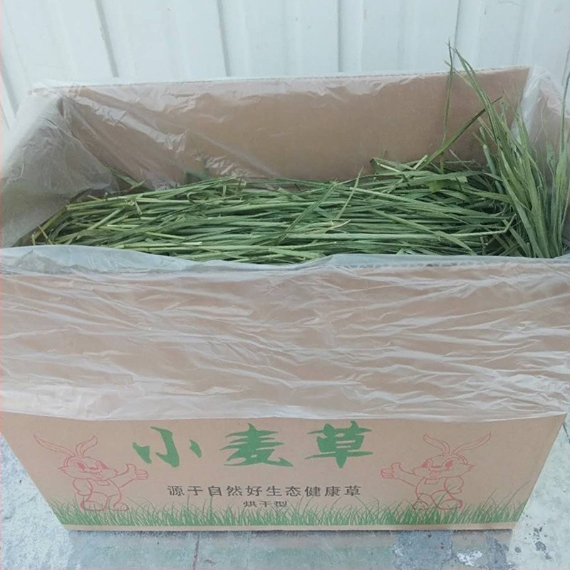 Ξηρή τροφή Longteng Planting 1kg σιτάρι γρασίδι σανό